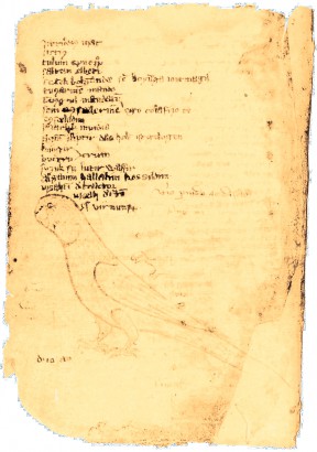 A Codex Cumanicus egyik oldala