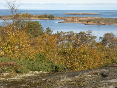 Ålandi táj