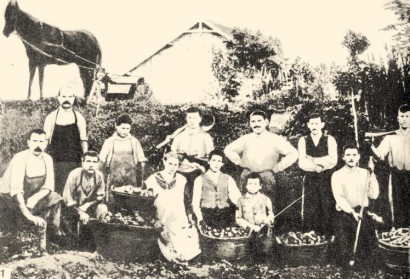 Bolgárkertészek Magyarországon a 20. század elején