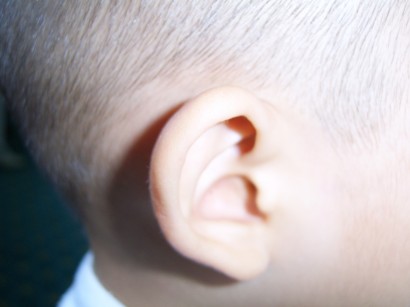 Bordacsontból készített implantátummal javítható a hallás?