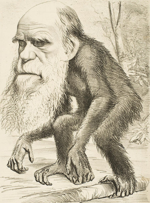 Darwin korabeli karikatúrája