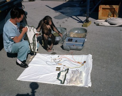 Ham – az űrhajós csimpánz