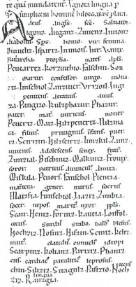 Ignota Lingua per simplicem hominem Hildegardem prolata – A wiesbadeni Riesenkodex részlete