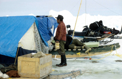 Inuit vadász iktsuarpok közben