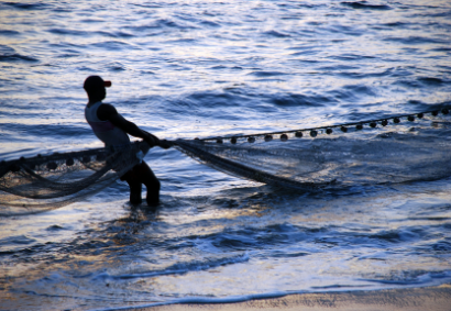 Nyelvi problémákkal küzdenek a Mexikói-öböl halászai