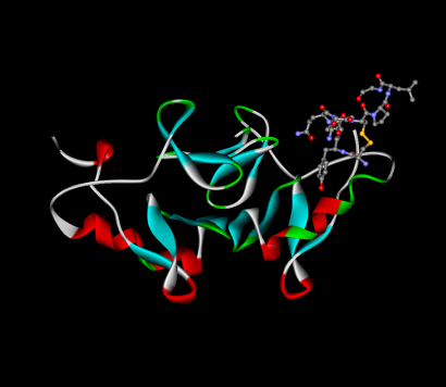 Oxitocin és az őt szállító fehérje