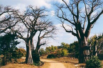 Tipikus malawi táj