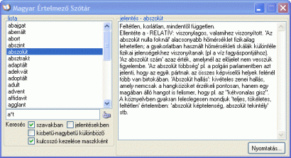 Windows XP alatt futó szótárprogram a Windows 95 idejét idéző dizájnnal